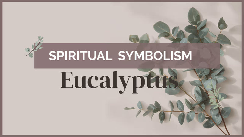 symbolic meanings of Eucalyptus