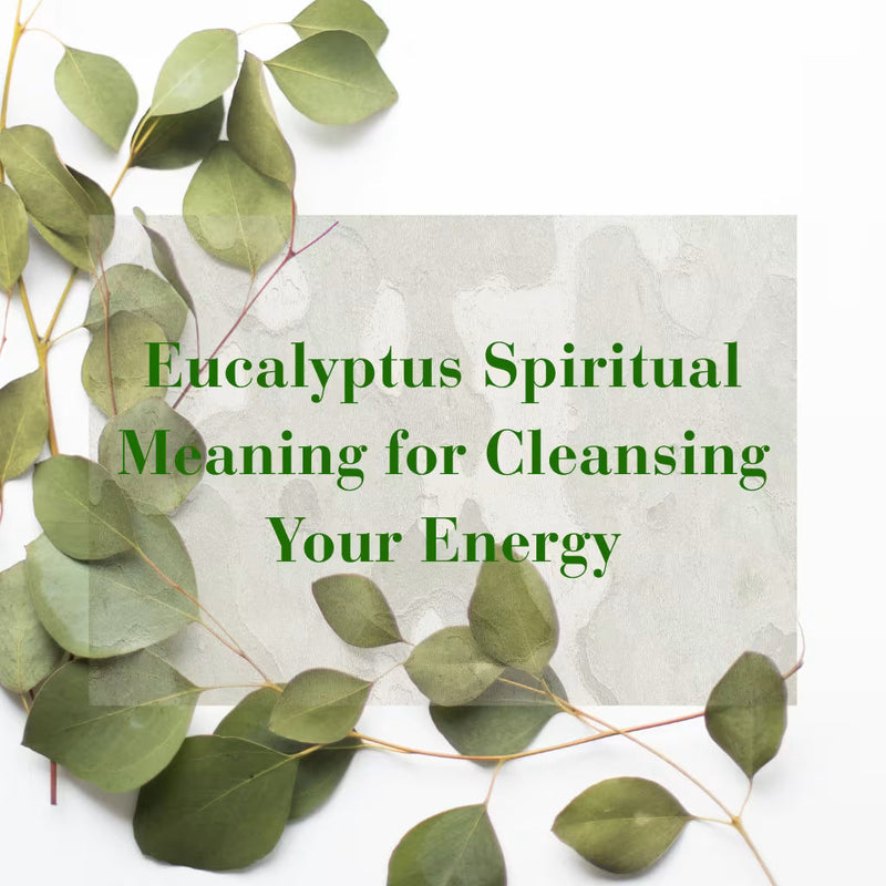 Eucalyptus Spiritual significance